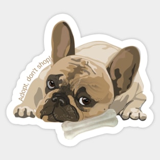 ADOPT, DON'T SHOP / PUG / DOG/ PET Sticker